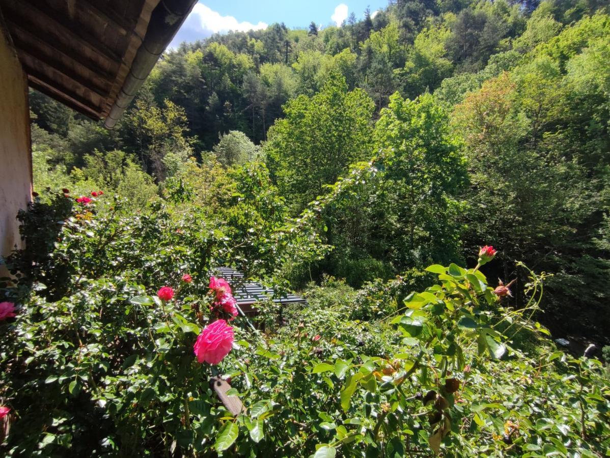 La Bollène-Vésubie Moulin Vieux B&B 외부 사진