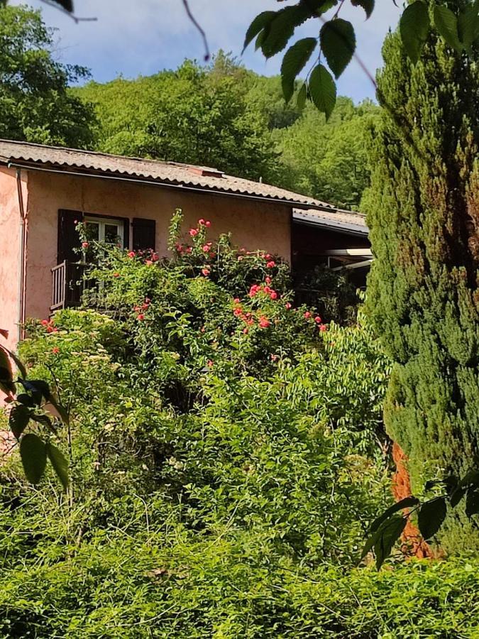 La Bollène-Vésubie Moulin Vieux B&B 외부 사진